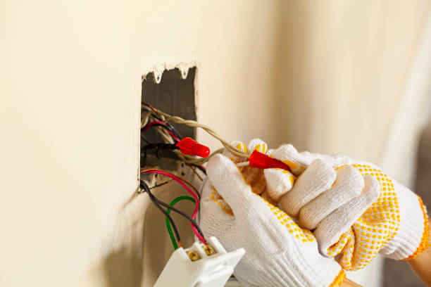 Best Electrical Maintenance Services  in Chandler, TX